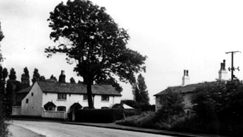 Cobblers Square