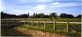 Nature Reserve at Gate Warth.